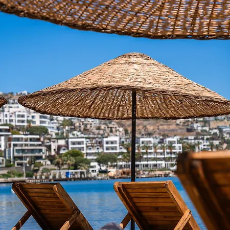 Mare Alba ベッド・アンド・ブレックファスト