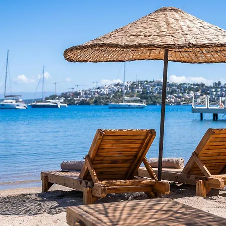 Mare Alba Gündoğan