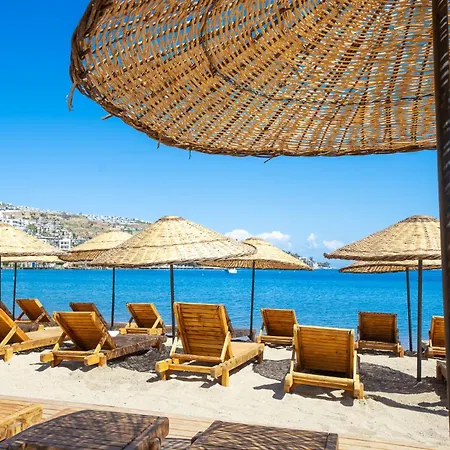 Mare Alba ベッド・アンド・ブレックファスト