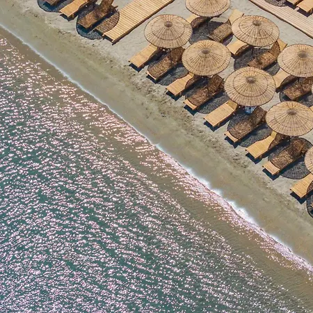 Mare Alba Gündoğan