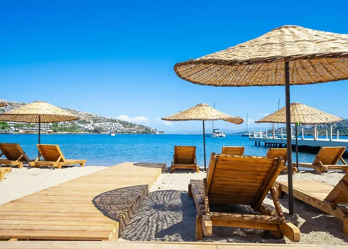 Mare Alba 3* Gundogan (Bodrum)