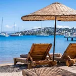 Mare Alba Gundogan (Bodrum)