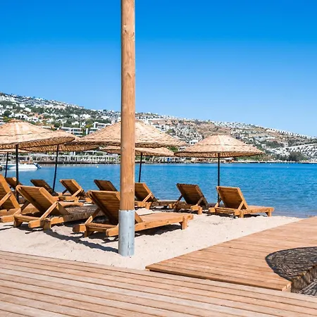 Mare Alba 3*