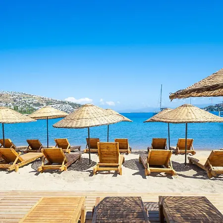 Mare Alba Couette-café Gundogan (Bodrum)