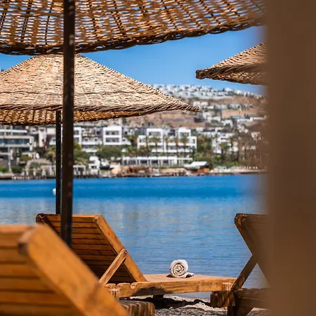 Mare Alba Gundogan (Bodrum)